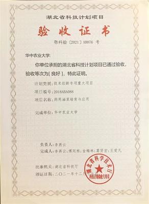 從抗疫良方到餐桌新寵 武漢成功試種抗病毒板藍(lán)根青菜“菘油1號(hào)”